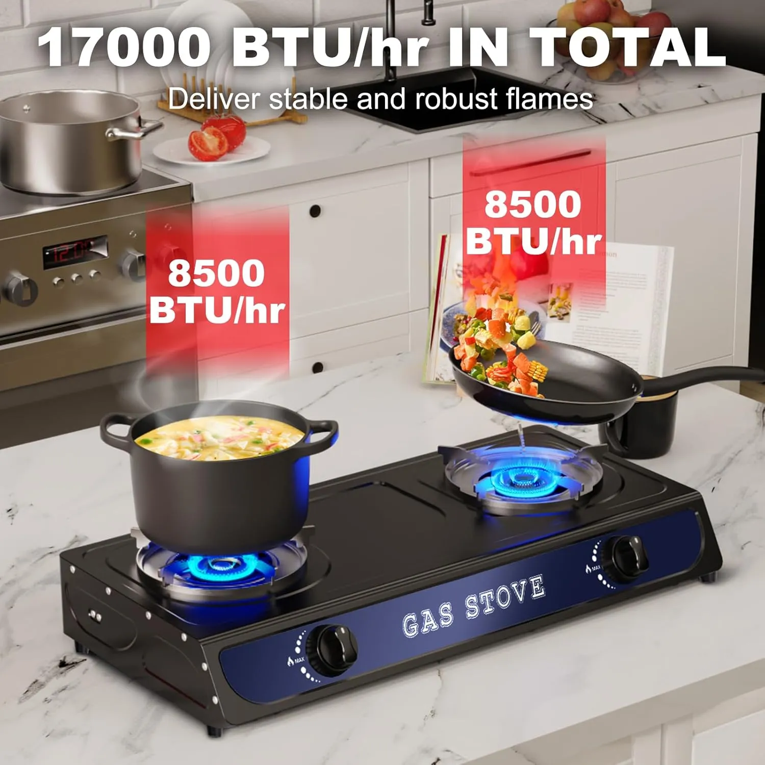 2 Burners Stove for Outdoor Cooking, Portable Camping Gas Stove Double Burner with CSA LPG Hose, Auto Ignition 17000 BTU Propane Stove
