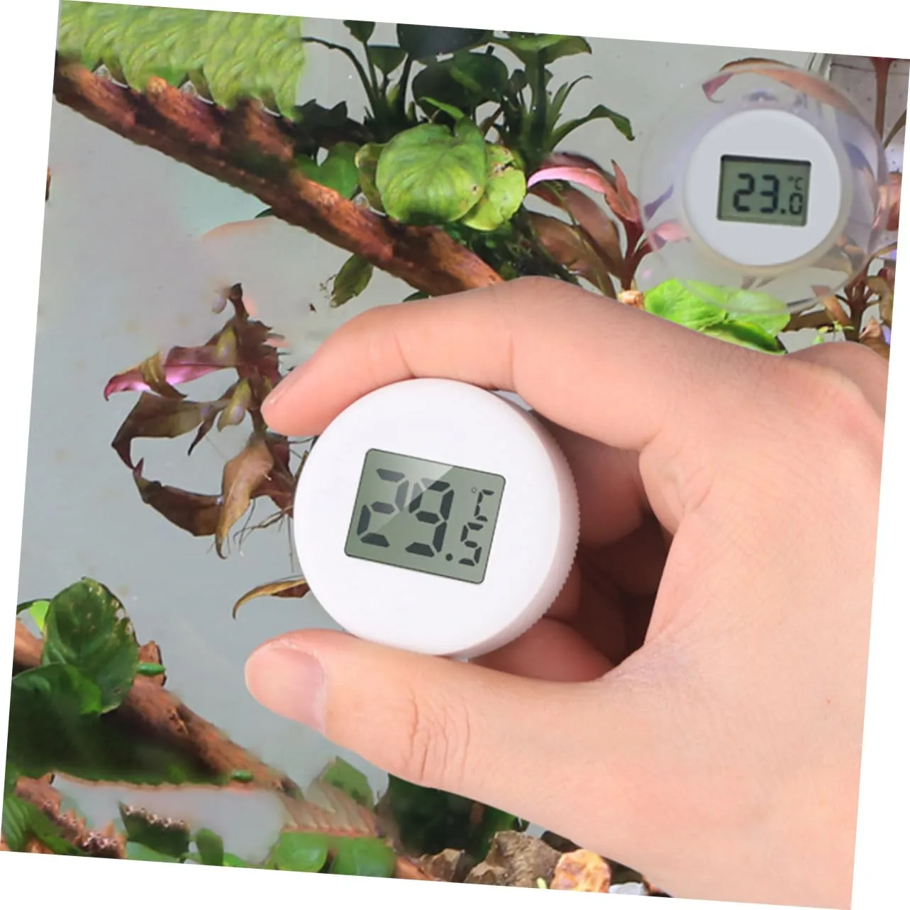 2 Pcs Aquarium Fish Tank Digital Submersible with Large Display and Suction Cup for Freshwater Saltwater Tanks