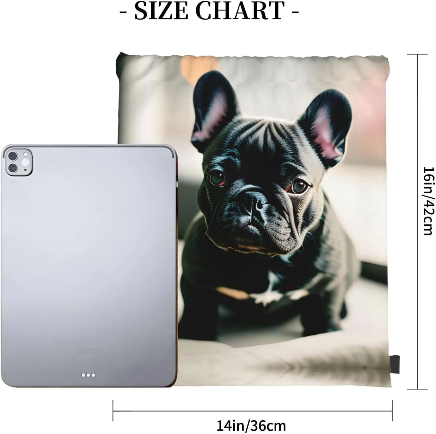Adorable French Bulldog Print Sports Drawstring Backpack,Water Resistant Bag, Gym Backpack for Women Men
