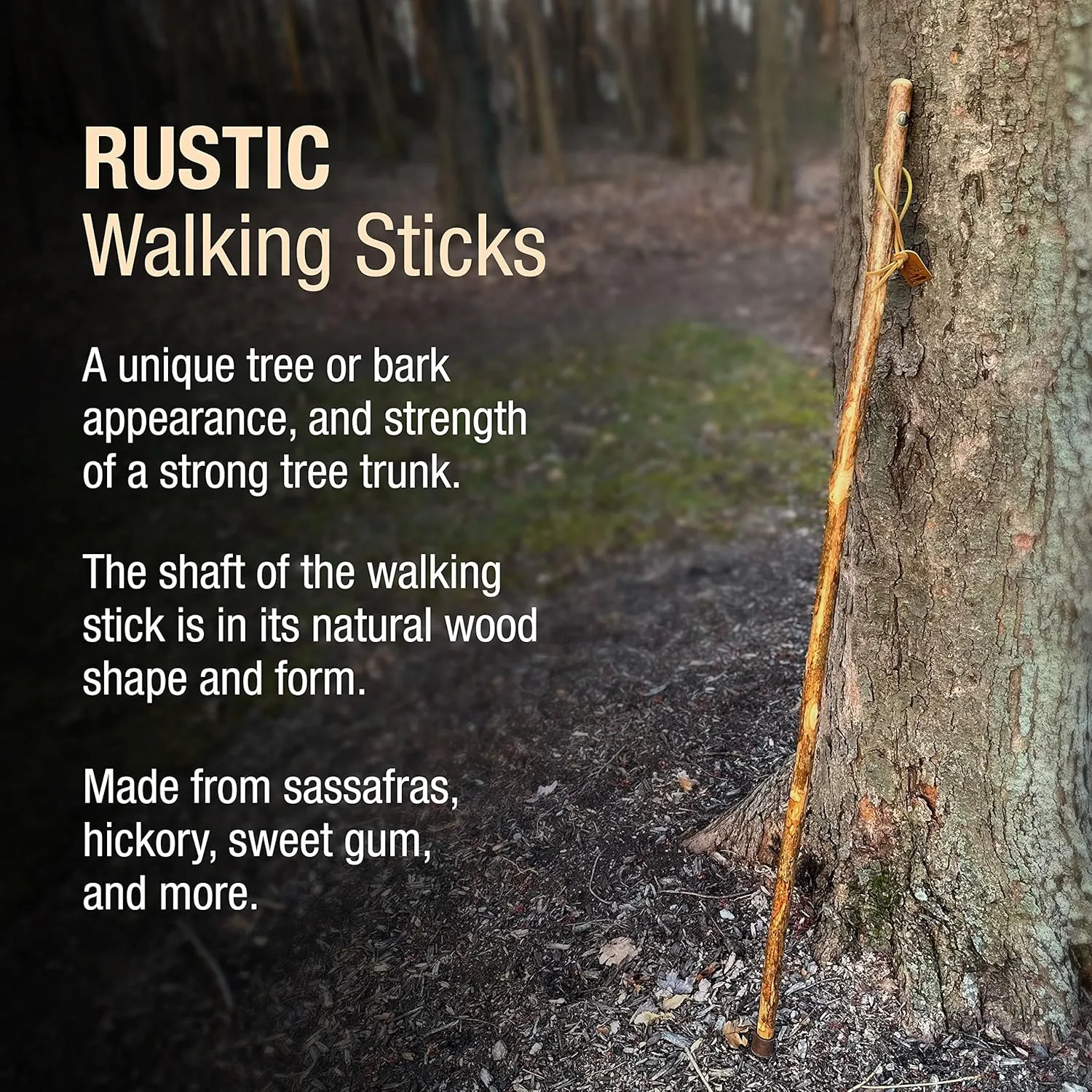 Brazos Rustic Wood Walking Stick, Hardwood, Traditional Style Handle, for Men & Women, Made in the USA, 55"