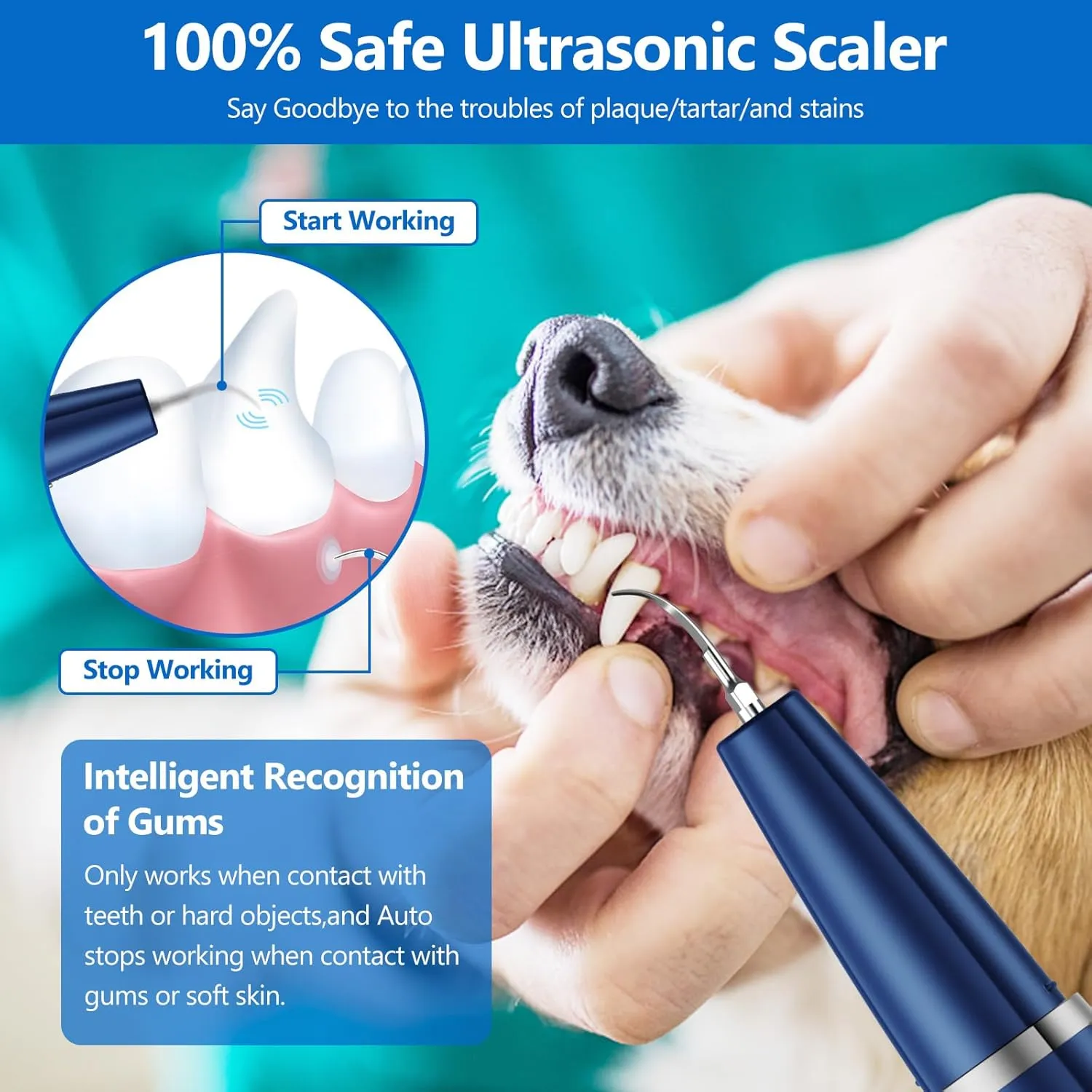 Dog Plaque Remover for Teeth,Pet Ultrasonic Tooth Cleaner,Teeth Cleaning Kit -Tartar Remover for Teeth Stains for Dogs and Cats (Blue)