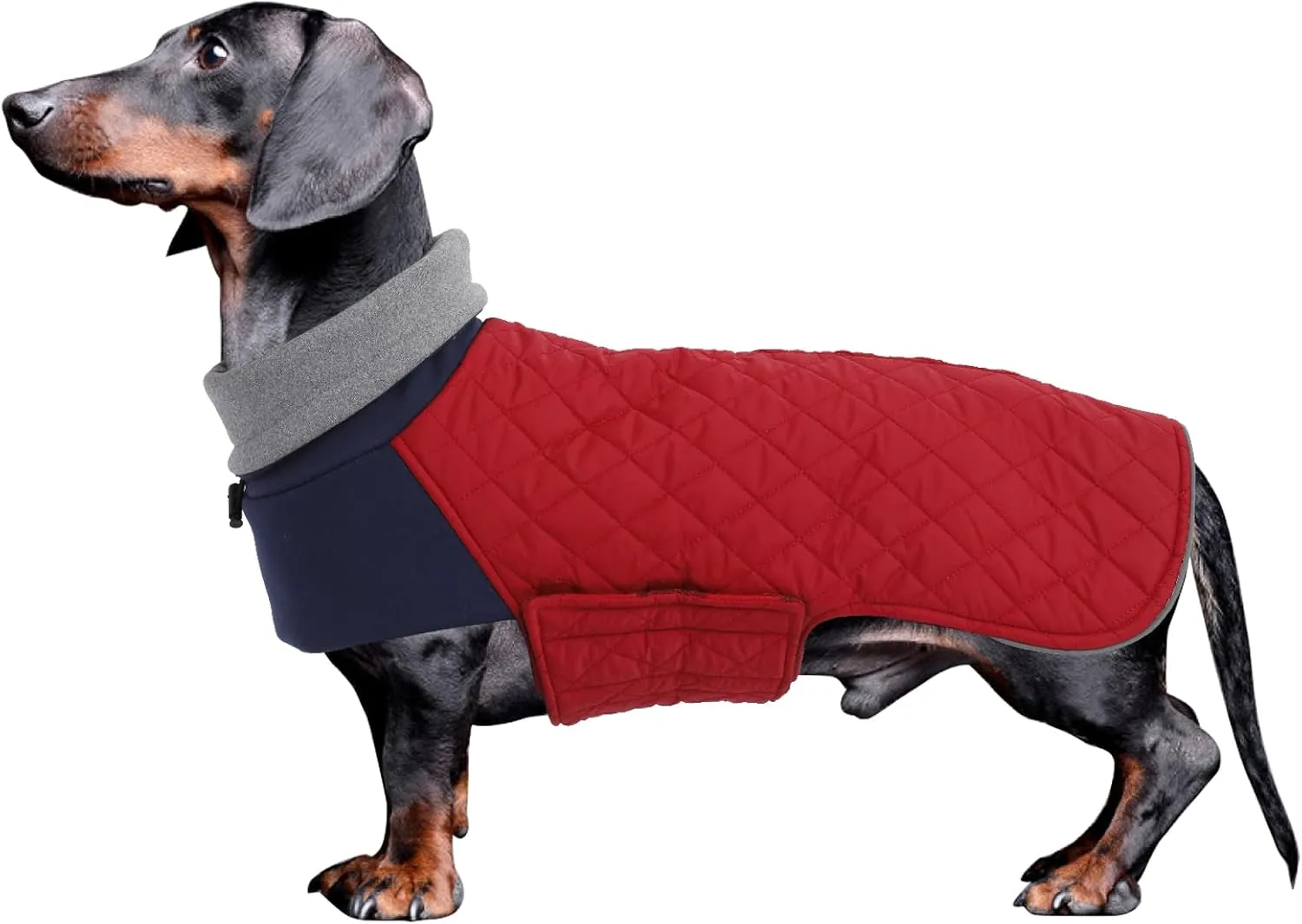 Geyecete Dachshund Coat,Dachshund Winter Coat,Warm Waterproof Windproof, High Neckine String Holes Miniature Dachshund Jacket for Small Dog-Red-M