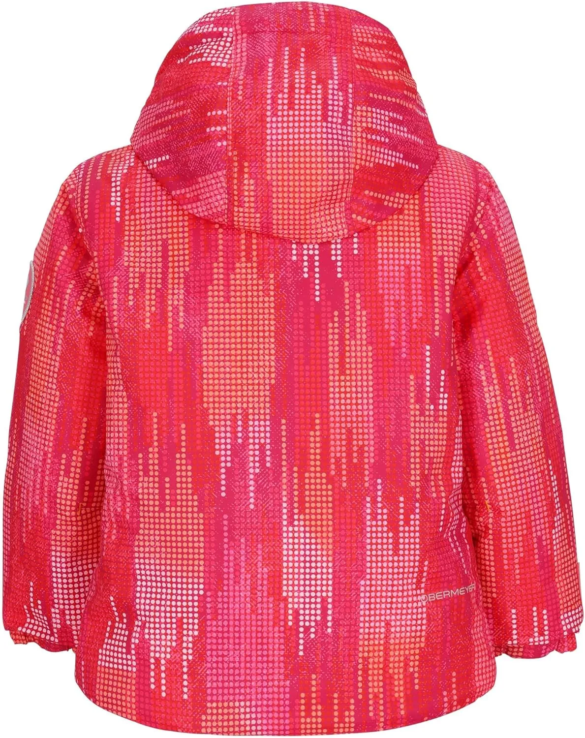 Obermeyer Unisex Kid's Ashor Jacket (Toddler/Little Big