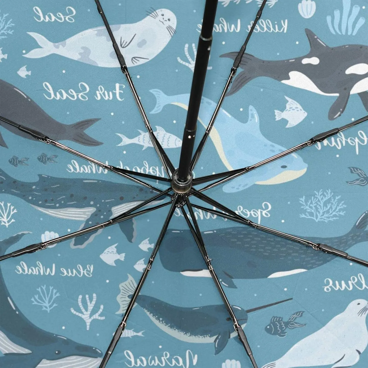 Poeticcity Rain Travel Umbrella, Hand Open Close Windproof Waterproof Folding Umbrella, Compact Canopy Strong Ray Parasol Umbrella