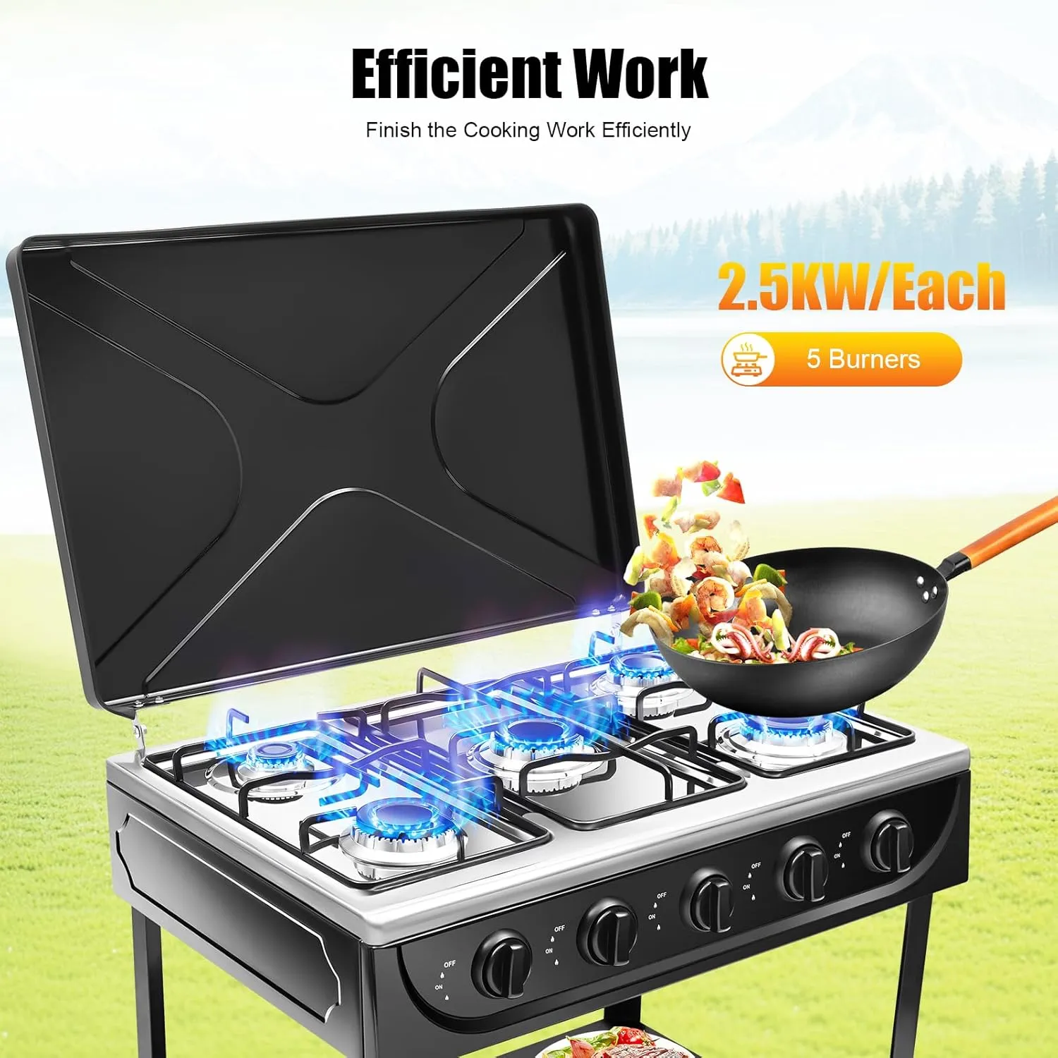 Portable Gas Stove 5 Burners Camping Stove Freestanding Outdoor Cooker Total Power 12500W Black