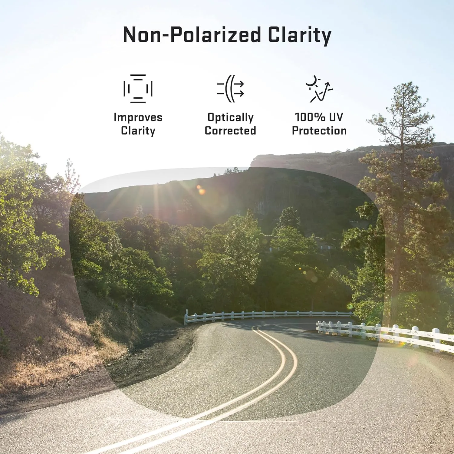 Revant Replacement Lenses for Wiley X Compass