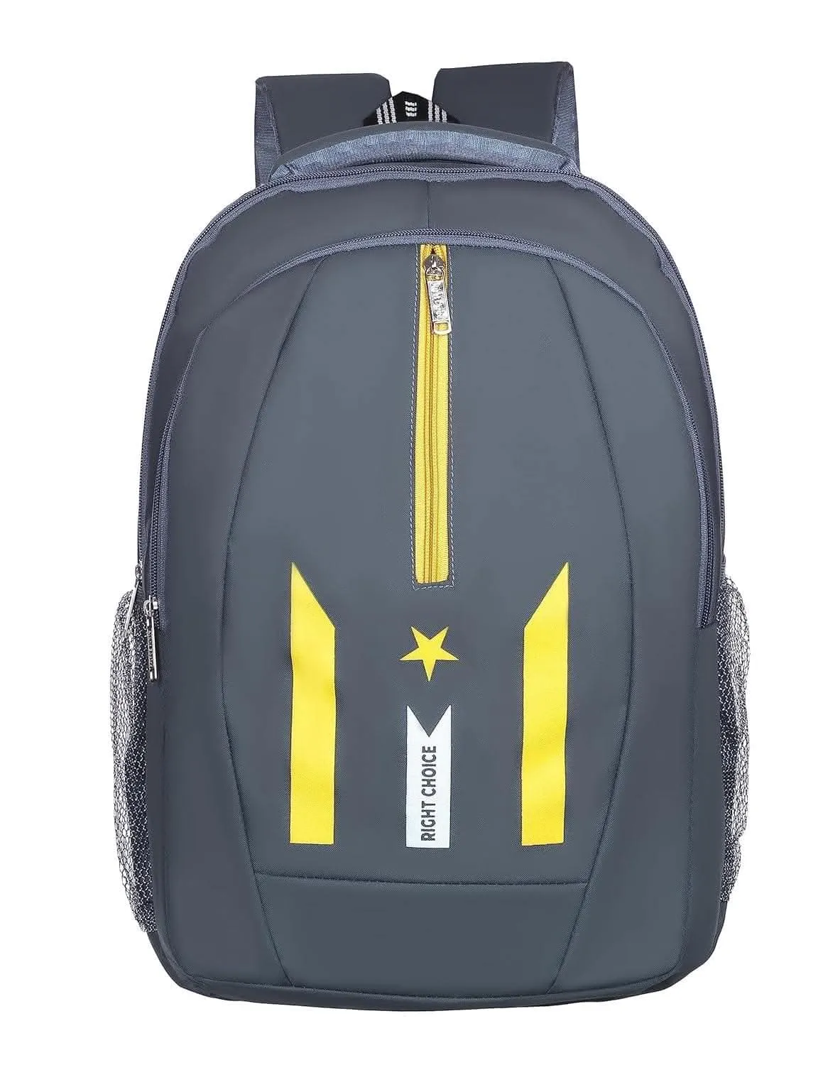 Right choice large 45 l laptop backpack (blue)