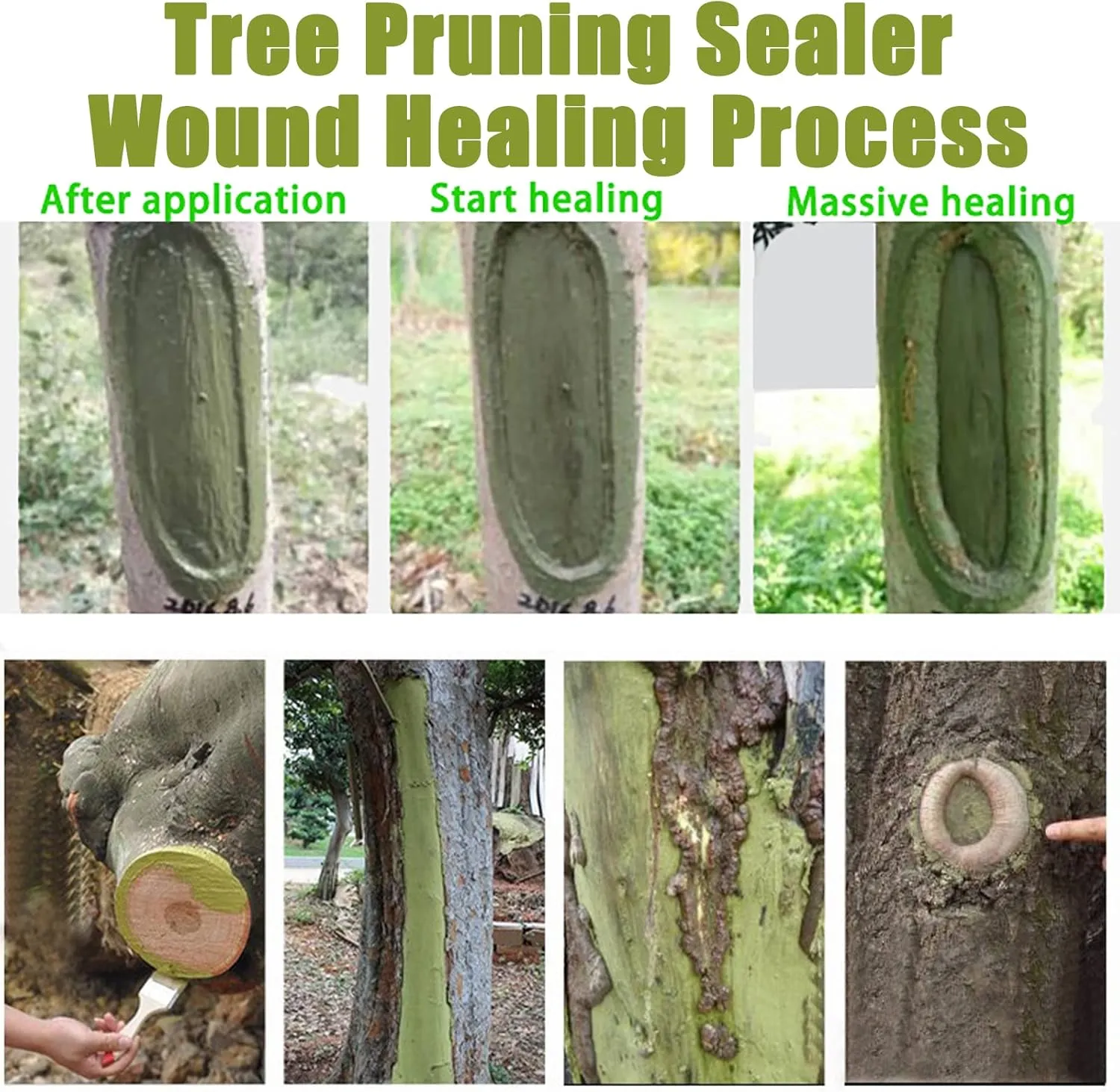 Tree Wound Sealer, Tree Pruning Sealer, Tree Grafting Supplies, Tree Wound Sealer Healing Paste, Bonsai Cut Paste, Pruning Sealer And Tree Wound Dressing for Trees, Shrubs, Roses (3Pcs*100g  3*Brush)